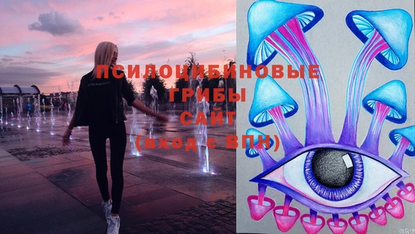 спиды Каменск-Шахтинский