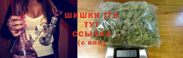 прущий лед Каменка