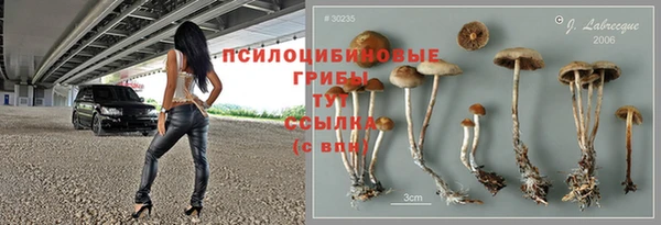 марки lsd Каменногорск